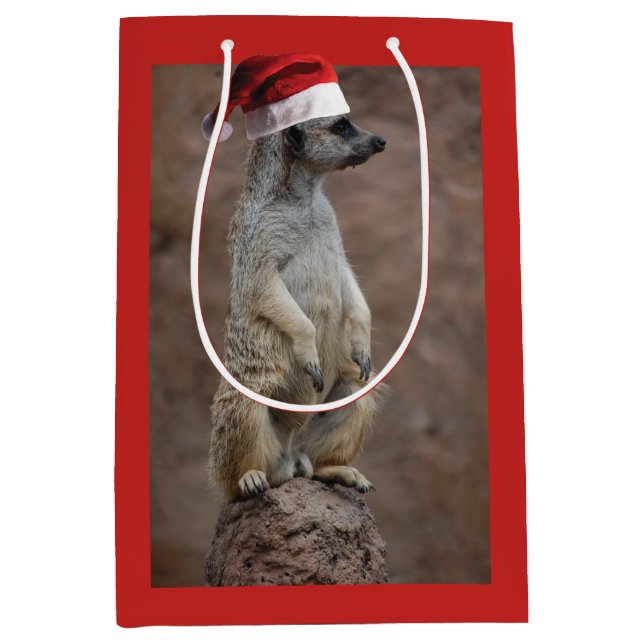 Meerkat Jultomten (Framsidan)