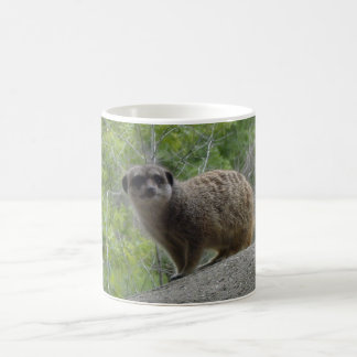 Meerkat Kaffemugg