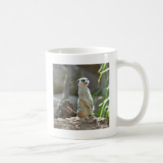 Meerkat Kaffemugg