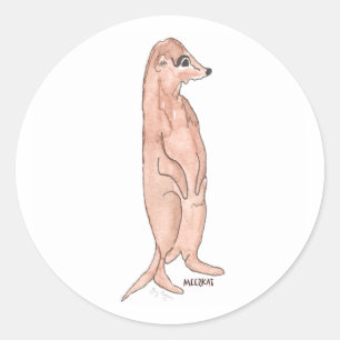 Meerkat klistermärke