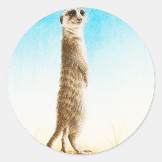 Meerkat klistermärke (Framsida)