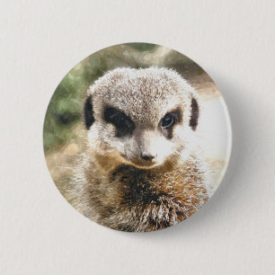 MEERKAT KNAPP