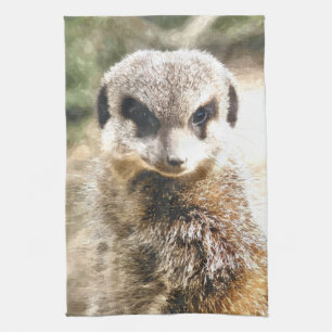 MEERKAT KÖKSHANDDUK
