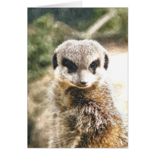MEERKAT-kort Hälsningskort