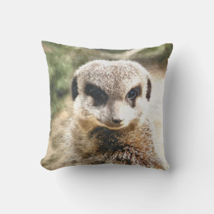 MEERKAT KUDDE
