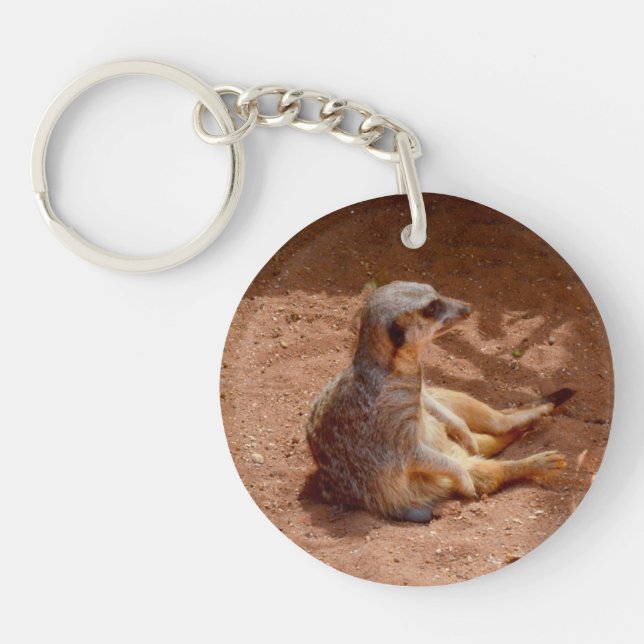 Meerkat Lazy Days (Framsidan)