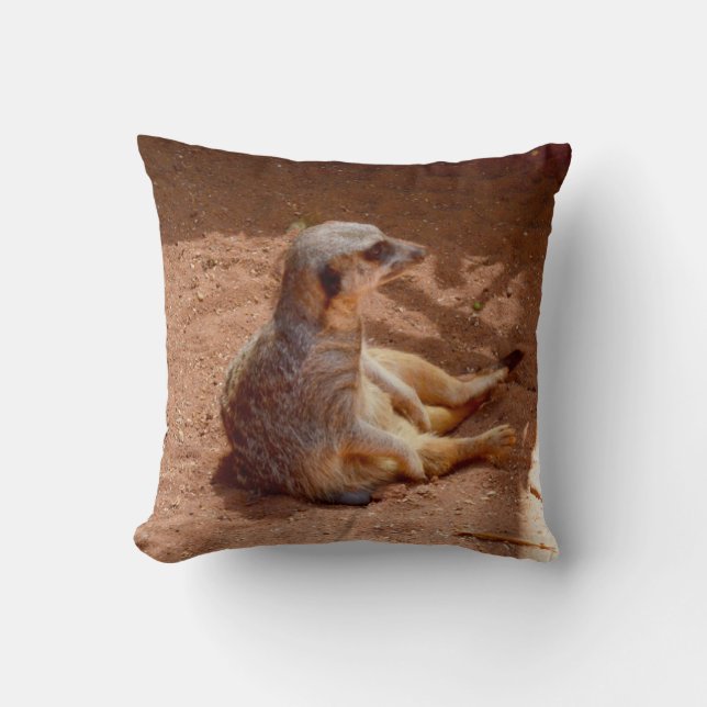 Meerkat Lediga Dagar, Kastkudde. Kudde (Framsida)