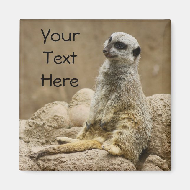 Meerkat Magnet (Framsidan)