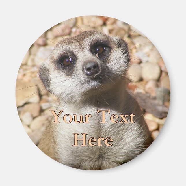 Meerkat Magnet (Framsidan)