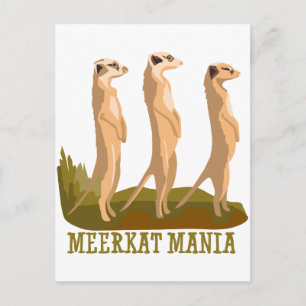 Meerkat Mania Vykort