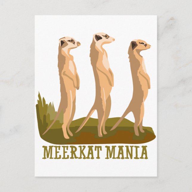 Meerkat Mania Vykort (Framsida)