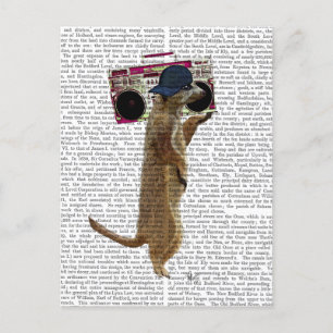 Meerkat med Boom Box Ghetto Blaster 2 Vykort