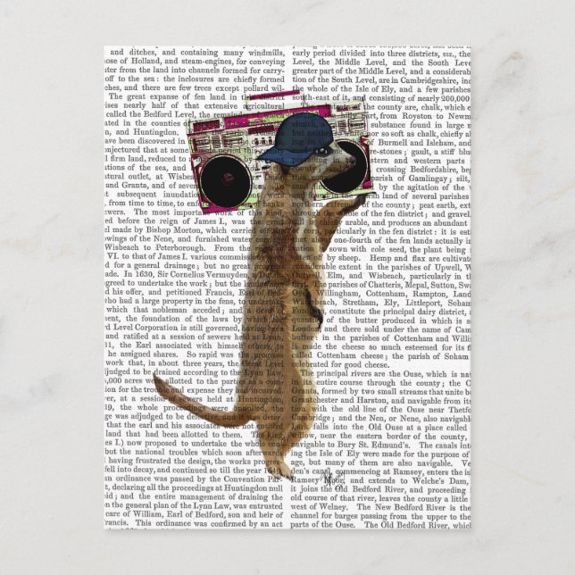 Meerkat med Boom Box Ghetto Blaster 2 Vykort (Framsida)