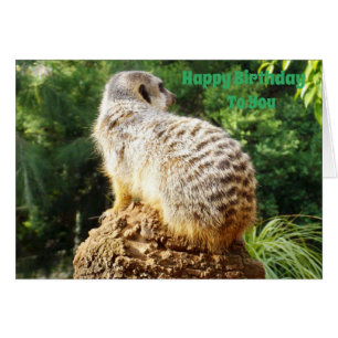 Meerkat med en hög fågeldag Önskemål, Hälsningskort