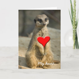 Meerkat min hjärta… helgkort