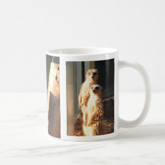 Meerkat morgon kaffemugg