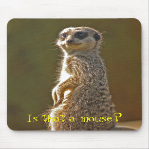 Meerkat Mousepad c Musmatta