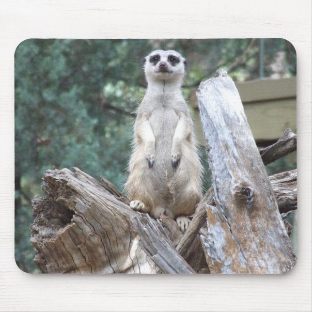 Meerkat Mousepad Musmatta (Framsidan)