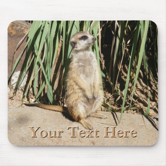 Meerkat Mousepad Musmatta (Framsidan)