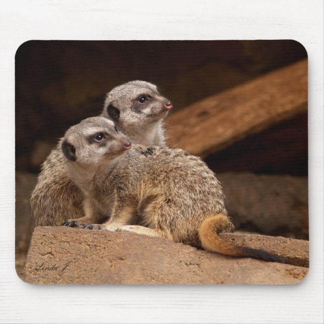 Meerkat Mousepad Musmatta (Framsidan)