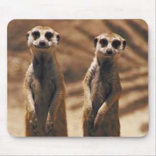 Meerkat mousepad musmatta