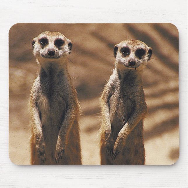 Meerkat mousepad musmatta (Framsidan)