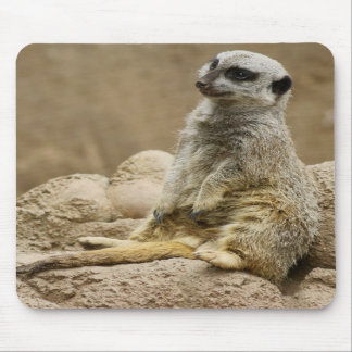 Meerkat Mousepad Musmatta