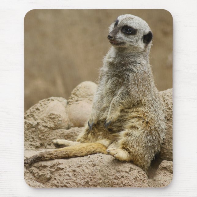 Meerkat Mousepad Musmatta (Framsidan)