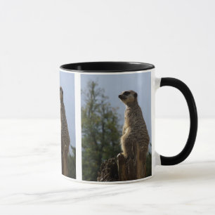 Meerkat Mugg