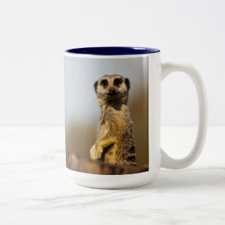 Meerkat mugg