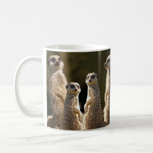 Meerkat mugg