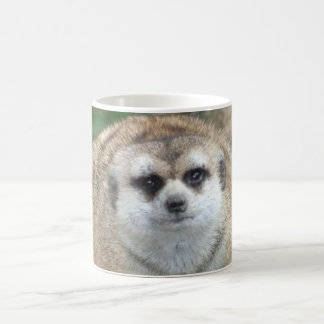 Meerkat mugg
