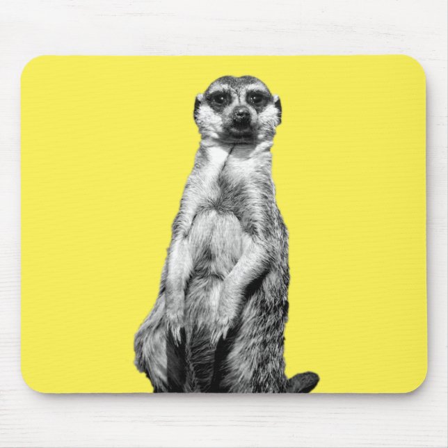 Meerkat Musmatta (Framsidan)