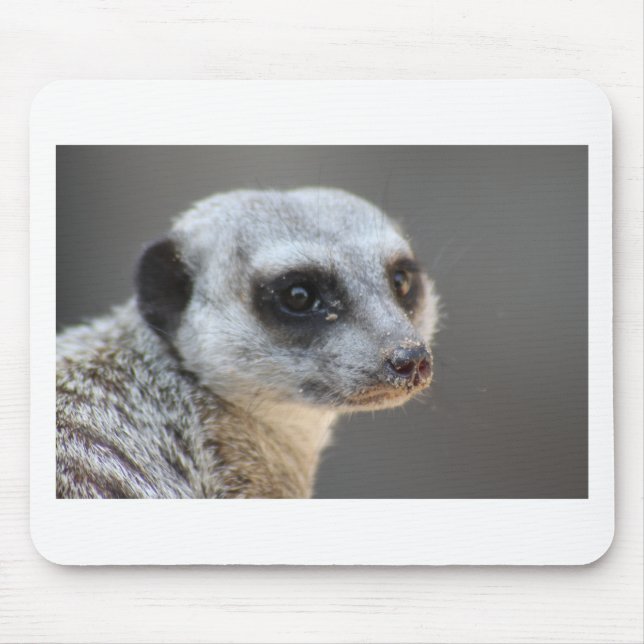 Meerkat Musmatta (Framsidan)