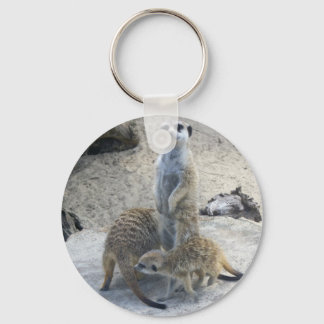 Meerkat Nyckelring
