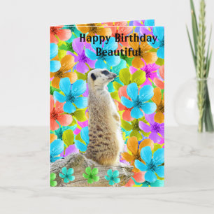 Meerkat och Blommar födelsedagskort, Helgkort
