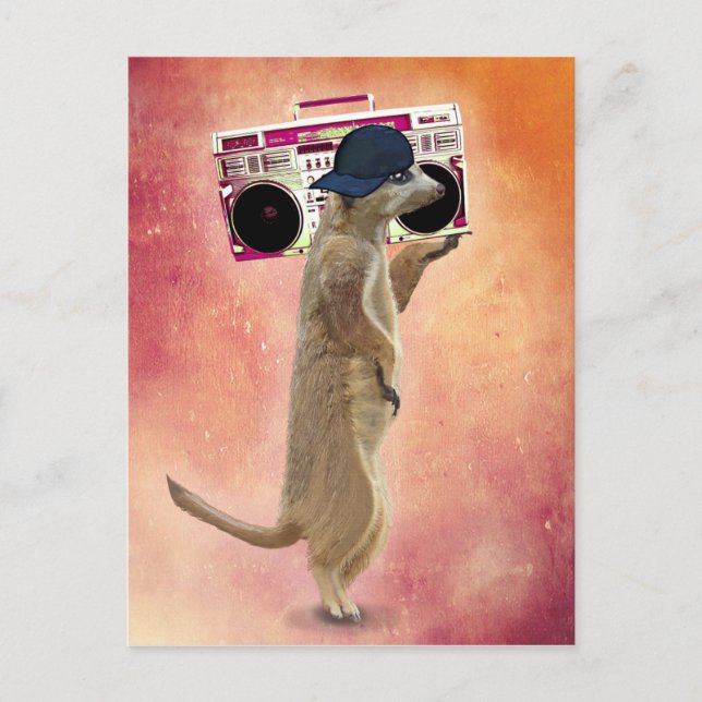 Meerkat och Boom Box Vykort (Framsida)