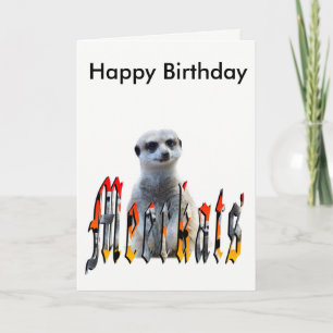 Meerkat och Logotyp, Grattis på födelsedagen-kort Kort
