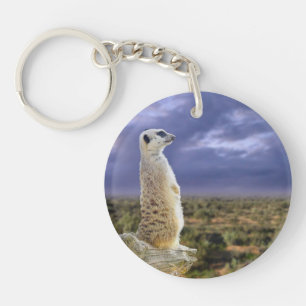 Meerkat och Underbaren utomhus.