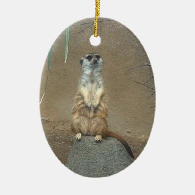 Meerkat Ornament (Framsidan)