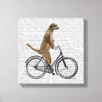 Meerkat på Bicycle