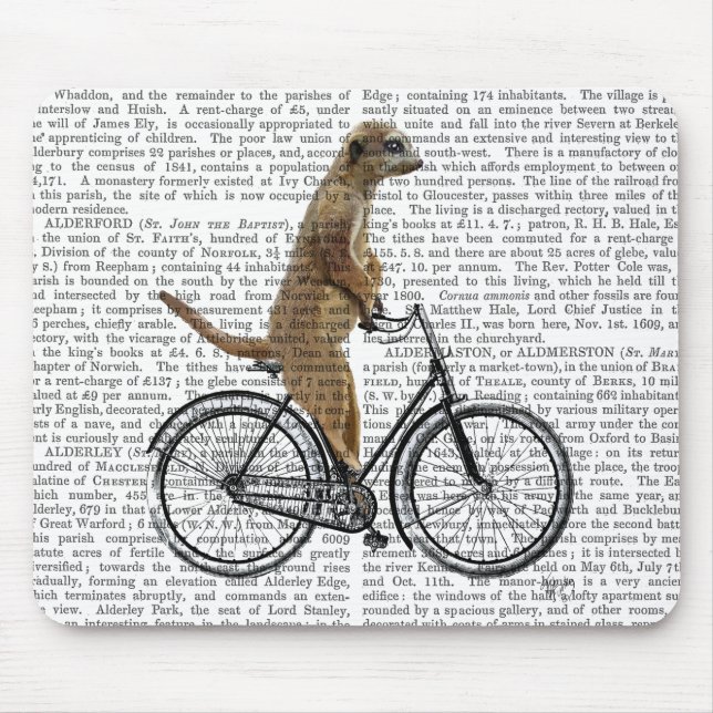 Meerkat på Bicycle Musmatta (Framsidan)