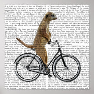 Meerkat på Bicycle Poster