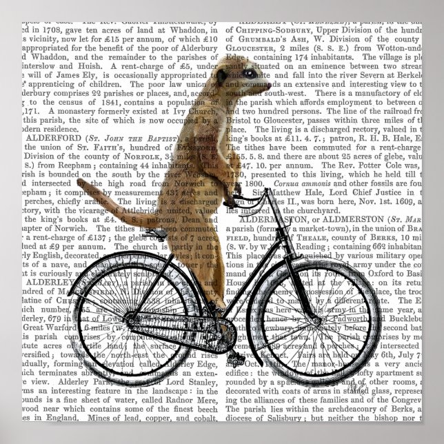 Meerkat på Bicycle Poster (Framsidan)