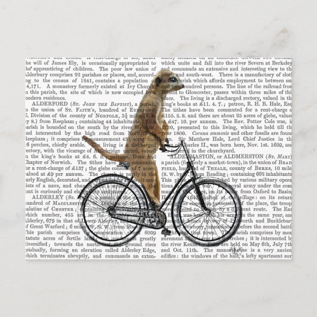 Meerkat på Bicycle Vykort (Framsida)