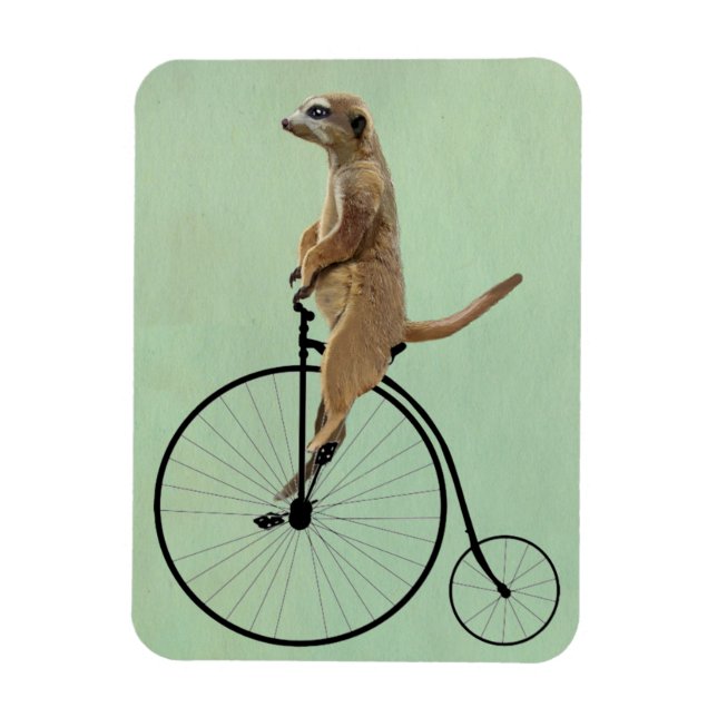 Meerkat på Black Penny Farthing 2 Magnet (Vertikal)