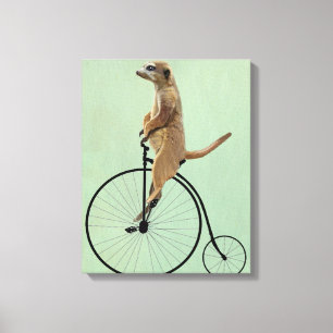 Meerkat på Black Penny Farthing Canvastryck