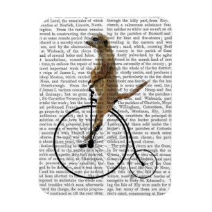 Meerkat på Black Penny Farthing Magnet