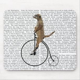 Meerkat på Black Penny Farthing Musmatta