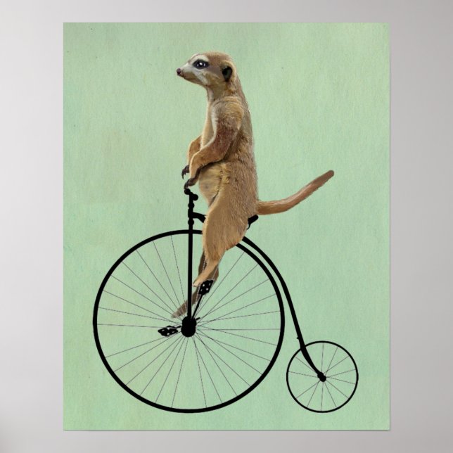 Meerkat på Black Penny Farthing Poster (Framsidan)